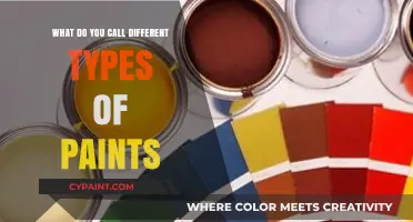 Exploring Paint Varieties: Names and Uses for Different Types of Paints