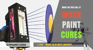 Understanding the Process: What’s the Term for Paint Curing?