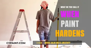 What Happens When Paint Hardens: Understanding the Process and Terminology