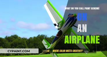 The Art of Airplane Paint Schemes