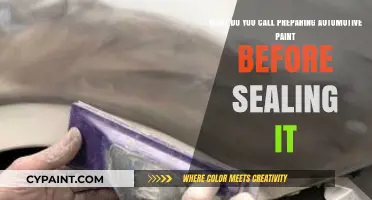 Prepping Perfection: The Essential Guide to Pre-Sealing Automotive Paint