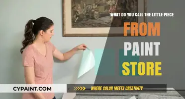 Decoding Paint Store Jargon: What's That Little Piece Called?