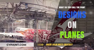 The Art of Plane Design: Paint Schemes Explained