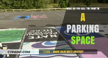 Decoding Parking Lot Lingo: What's the Term for Those Painted Lines?