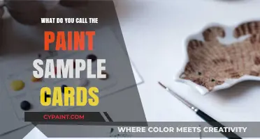What Are Paint Sample Cards Called? A Quick Guide to Color Swatches