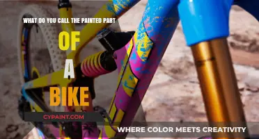 Revamping Rides: The Art and Anatomy of Bicycle Paint Jobs