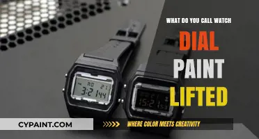 What’s the Term for Lifted Watch Dial Paint? Explained