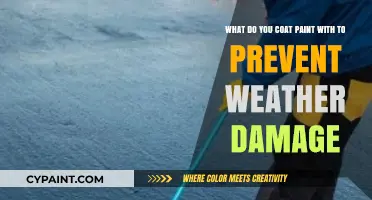 Shield Your Paint: Weatherproofing Coatings for Lasting Protection