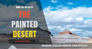 Exploring the Painted Desert: Activities, Wonders, and Unforgettable Experiences