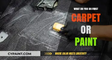Carpet or Paint First? A Step-by-Step Guide to Renovating