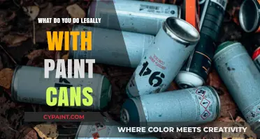 Legal Disposal and Recycling Tips for Paint Cans: A Comprehensive Guide