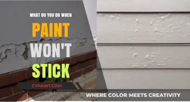 Troubleshooting Guide: Paint Won't Stick? Try This!