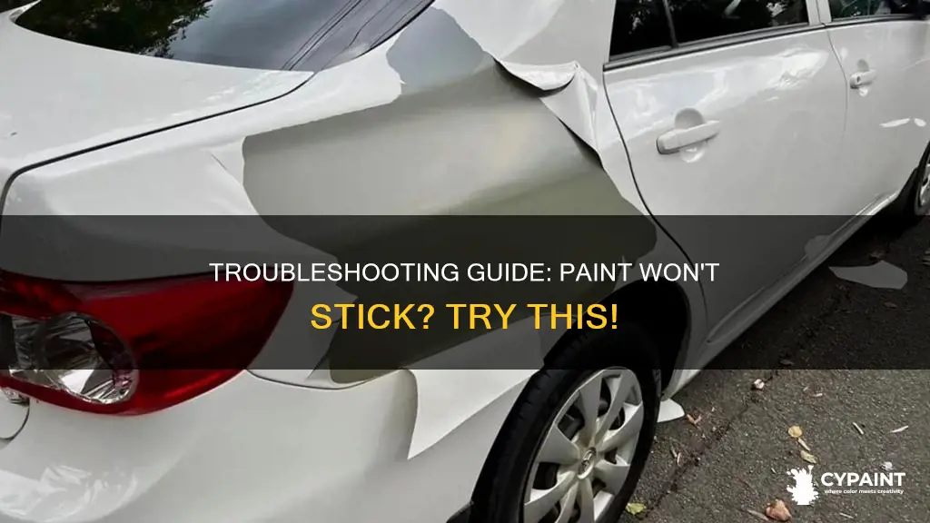 what do you do when paint won