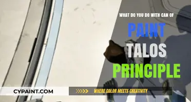 Unleashing Creativity: Innovative Uses for a Can of Paint in Talos Principle
