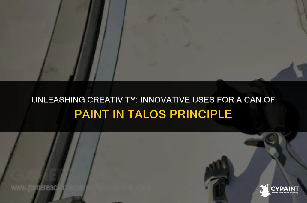 what do you do with can of paint talos principle
