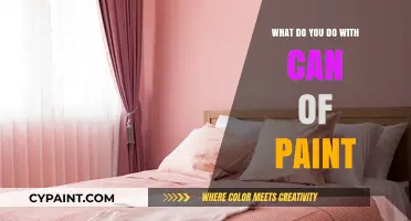 Creative Uses for a Can of Paint: Transform Your Space Today