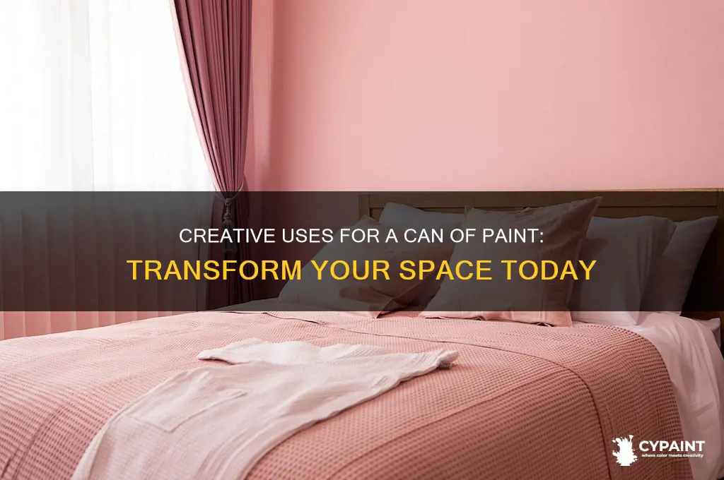 what do you do with can of paint