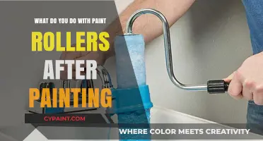 Proper Paint Roller Disposal and Cleaning Techniques