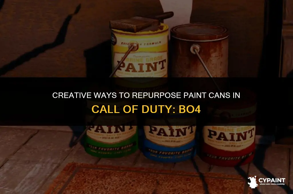what do you do with the paint cans in bo4