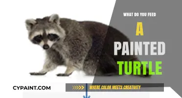Nutritious Diet Guide: What to Feed Your Painted Turtle for Optimal Health