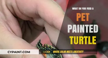 Feeding Your Painted Turtle: A Guide to Nutritious Diet Essentials