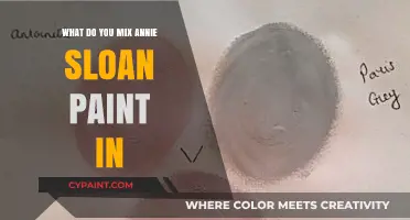 Mixing Annie Sloan Paint: Essential Tips for Perfect Consistency and Finish