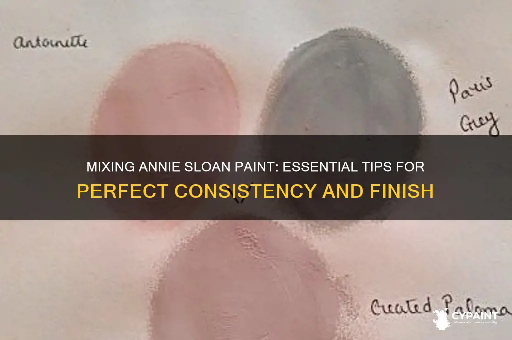 what do you mix annie sloan paint in