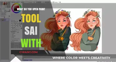 How to Open Paint Tool SAI: Compatible Devices and Software