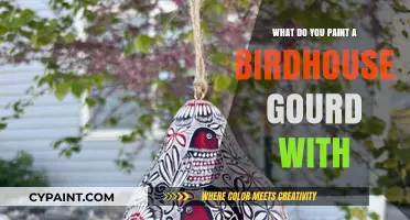 Painting Birdhouse Gourds: Best Paints and Techniques for Durability