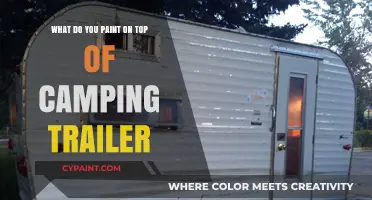 Best Paint Options for Your Camping Trailer