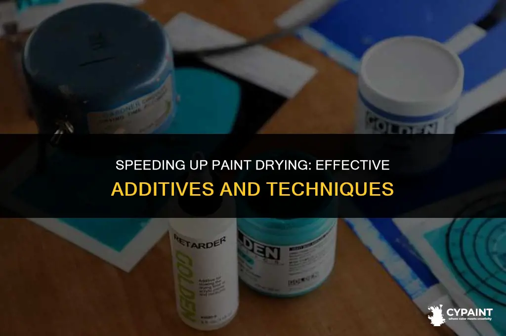 what do you put in paint to dry it up