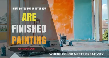 Unveiling the Perfect Finishing Touches Post-Painting