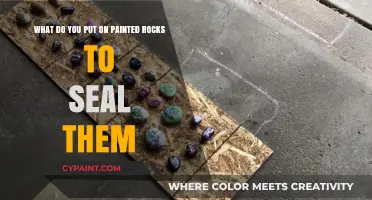 Preserving Artistry: The Best Sealants for Painted Rocks
