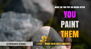 Creative Touches: Post-Painting Rock Decoration Ideas