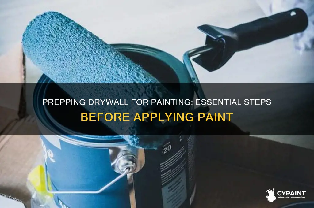 what do you put over drywall before painting