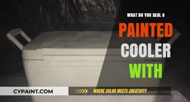 Best Sealants to Protect Your Painted Cooler: A Comprehensive Guide
