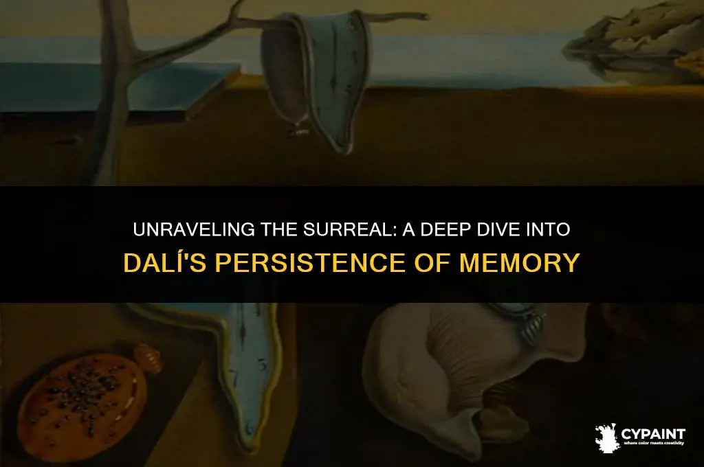 what do you see in the painting persistence of memory