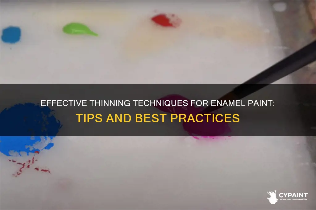 what do you thin down enamel paint with