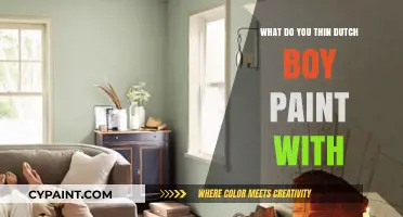 What Do You Think Dutch Boy Paint Uses for Vibrant Colors?