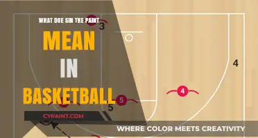 Decoding the Paint: Understanding Its Role in Basketball Strategy