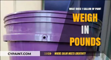 How Heavy Is a Gallon of Paint?