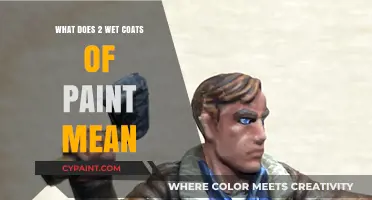 Understanding the Technique: Applying Two Wet Coats of Paint