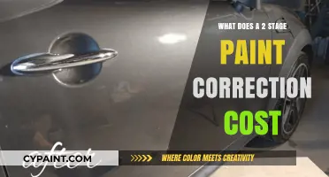 Understanding the Cost of a 2-Stage Paint Correction Process