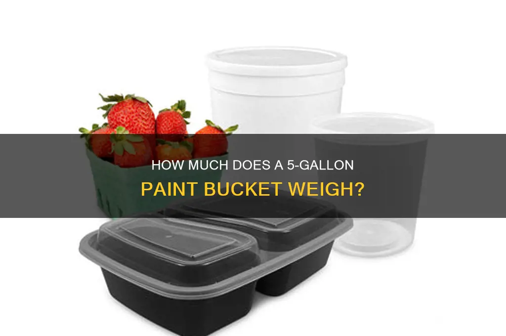 what does a 5 gallon of paint weigh