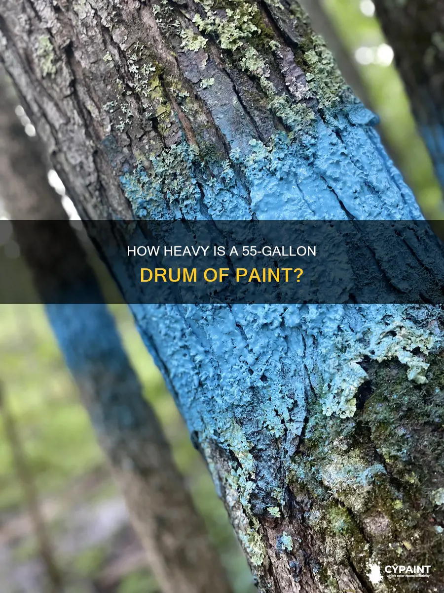 what does a 55 gallon drum of paint weigh