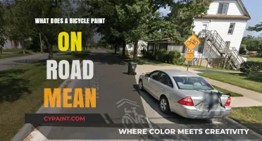 Understanding the Meaning Behind Bicycle Paint Markings on Roads
