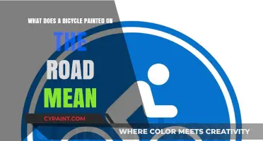 Bicycle Lanes: What Do Painted Road Bikes Mean?