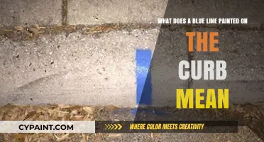 Decoding Curb Colors: Understanding the Meaning of a Blue Line