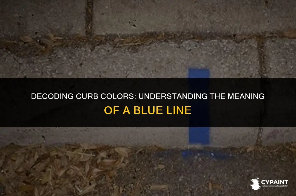 what does a blue line painted on the curb mean
