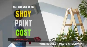 Cost of Painting a Room: One-Coat Wonders